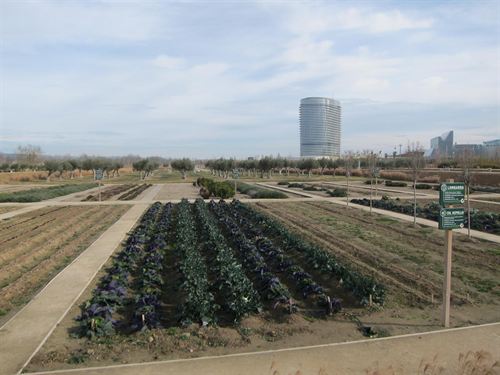 Zaragoza. El 90% de los huertos urbanos del Parque del Agua están ocupados y cultivados