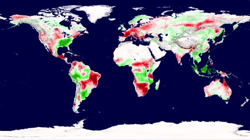 Las sequías reducen la productividad mundial de las plantas