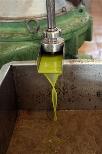 El precio del aceite de oliva