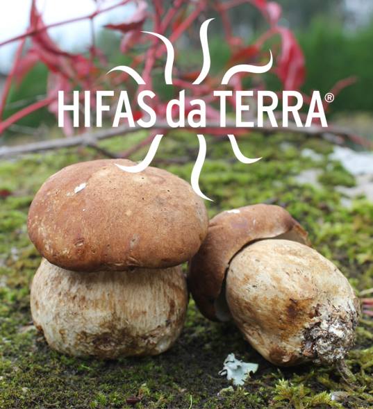 La firma pontevedresa "Hifas da Terra"
