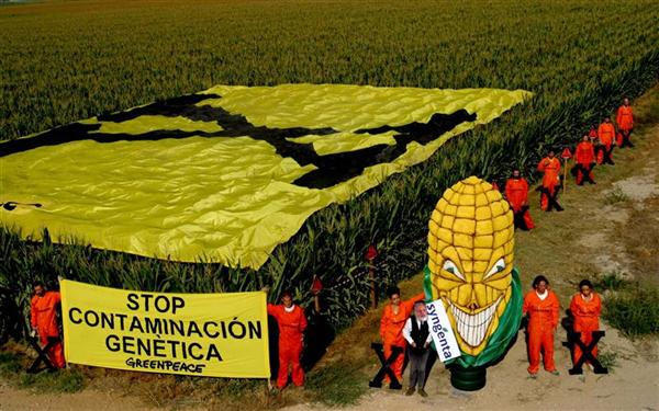 Rechazo histórico a los cultivos transgénicos en la UE