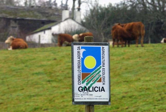 Galicia a buen nivel de producción ecológica