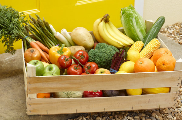 Agricultura Ecológica