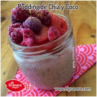 ‘Recetas Ecológicas’: Pudding de Chía con Leche de Coco