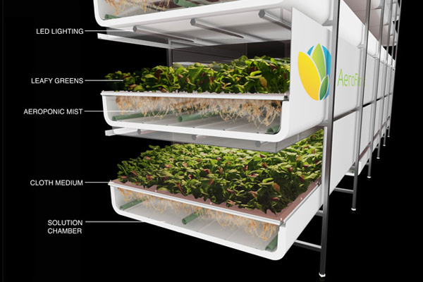 AeroFarm: cultivos sin tierra bajo cubierta