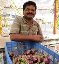 Bombay ya cuenta con un mercado semanal ecológico