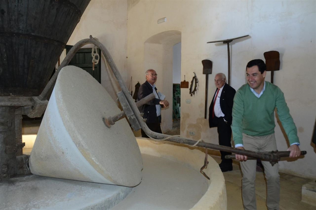 Exigen la implementación del ‘III Plan de Agricultura Ecológica’ en Andalucía