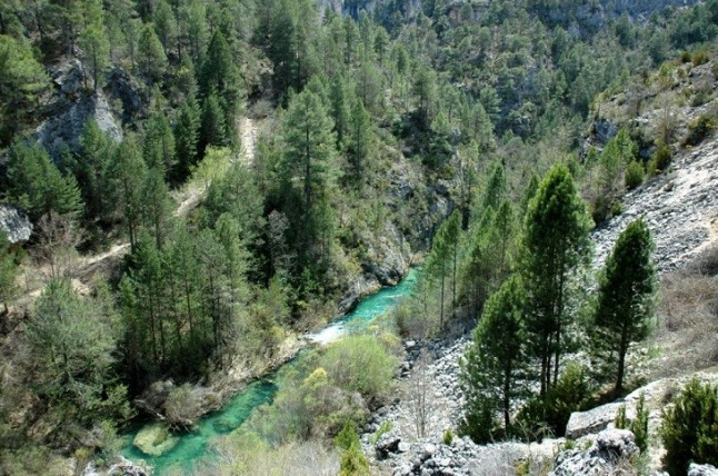 Ecoturismo en la Comarca de Molina y el Alto Tajo