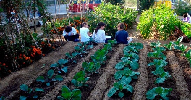 Cinco nuevos centros escolares se suman a la Red de Huertos Escolares de la que ya disfrutan 3.500 niños en Valladolid