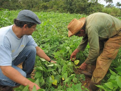La revolución ecológica de Cuba recibe el Nobel Verde