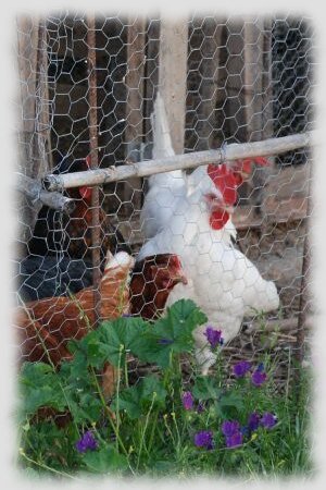 Qué es y qué representa el banco de tierras del Ayuntamiento de Redueña