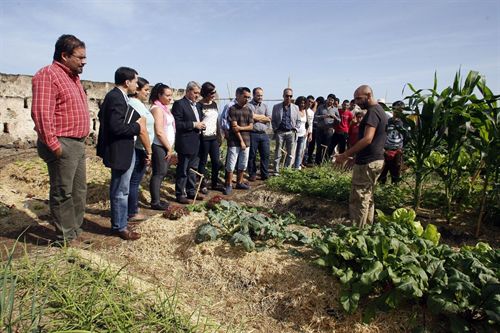 Canarias. Cruz Roja desarrolla un curso de agricultura ecológica dirigido a desempleados