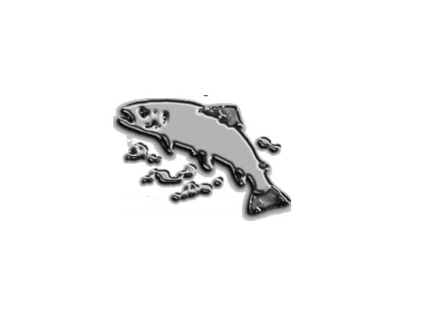 Alerta por mercurio en el pescado