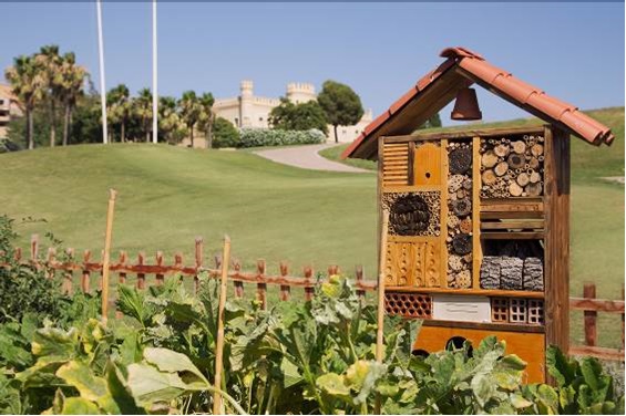 Barceló Montecastillo un ‘propuesta’ muy interesante