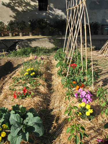 CRUDIVEGANISMO Del huerto a la mesa