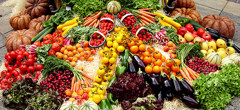 Europa y Chile acuerdan el reconocimiento mutuo de sus producciones bio