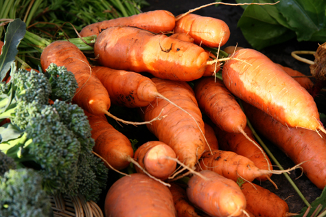 El mercado español de productos ecológicos crecerá en torno al 12% anual hasta 2020