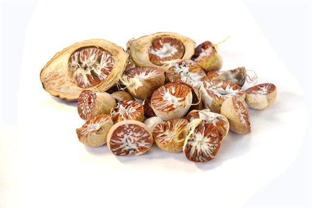 Nueces de areca anticancerígenas