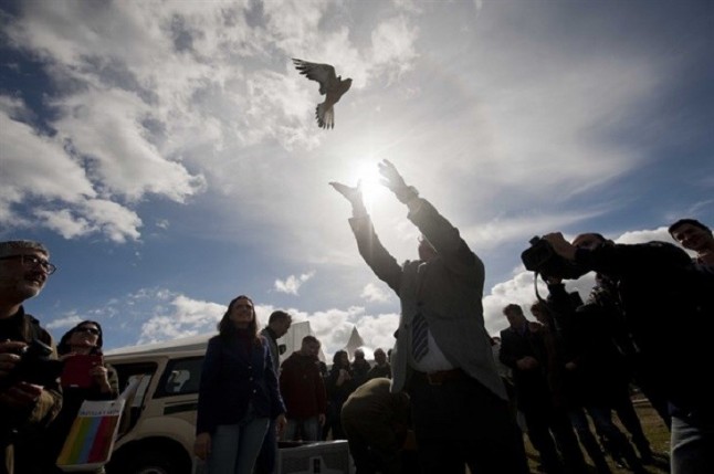 FIO cumple 13 años como la feria "más antigua" de España de turismo ornitológico