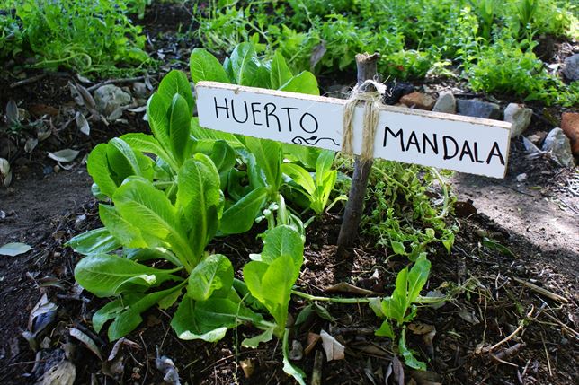 Seis reglas básicas para crear tu huerto ecológico en casa