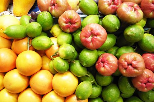 Jornadas técnicas sobre fruticultura ecológica en Álava