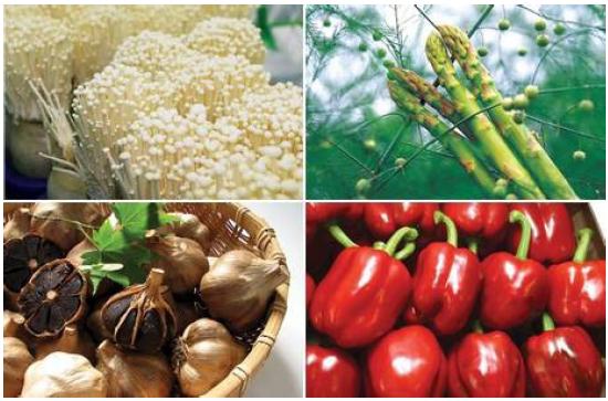 El concurso Kalitatea de las escuelas de Hostelería vascas busca fomentar el consumo de productos eusko label