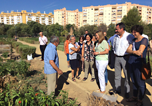 Andalucía ‘apuesta’ por habilitar más espacios en las ciudades para acoger huertos urbanos como el de Miraflores
