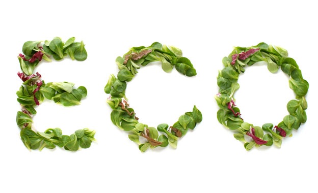 Cinco razones para ser ‘eco’