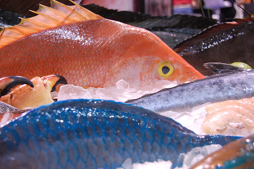 Una delegación de 14 empresas andaluzas participa en Bruselas en la European Seafood Exposition