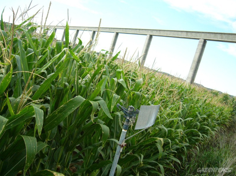 La certificación ecológica en Andalucía
