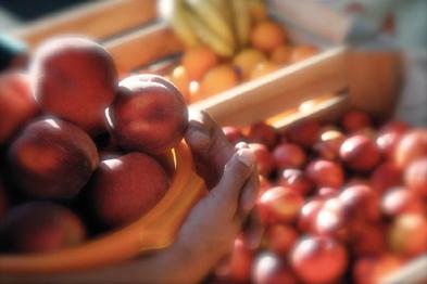 La reconstrucción de los equilibrios en una gastronomía de compromiso