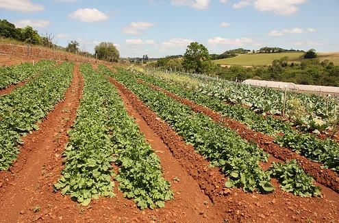 Caja de Burgos organiza en Valladolid una muestra y un ciclo de conferencias sobre la agricultura ecológica