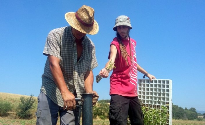 La ciudad española que aprendió de Suecia a priorizar los alimentos ecológicos