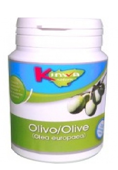 Olivo contra la hipertensión y la hiperglucemia