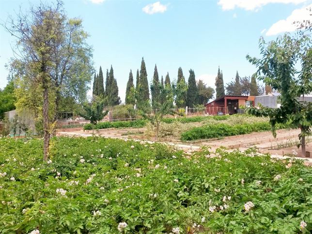 La superficie de cultivo ecológico de Murcia se incrementa en un 66%