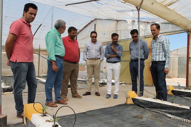 Junta de Cádiz contribuye a la mejora del sector de frutas y hortalizas con la concesión de una ayuda de 543.852 euros