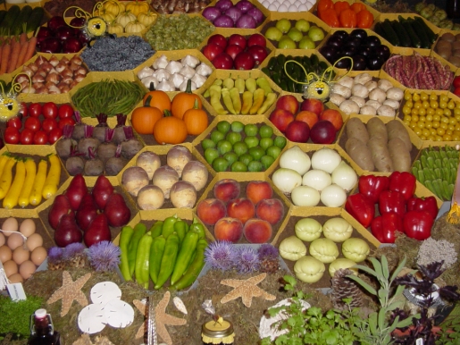 El gobierno norteamericano invierte en investigación para la agricultura ecológica