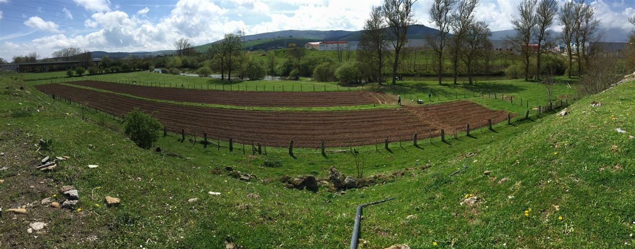 La agricultura ecológica es la ‘esencia’ de la alimentación de toda la vida