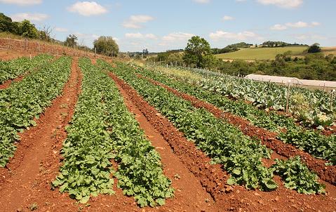 El INEA de Valladolid acoge desde el día 24 el 4º encuentro del proyecto Finlandia-España sobre Agricultura Sostenible