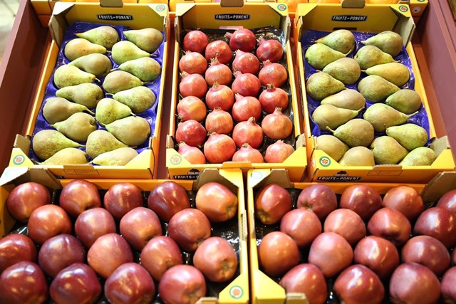 Alimentos fácilmente digeribles y refrescantes