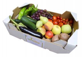 Ideas emprendedoras contra la crisis: inserción laboral y ecología