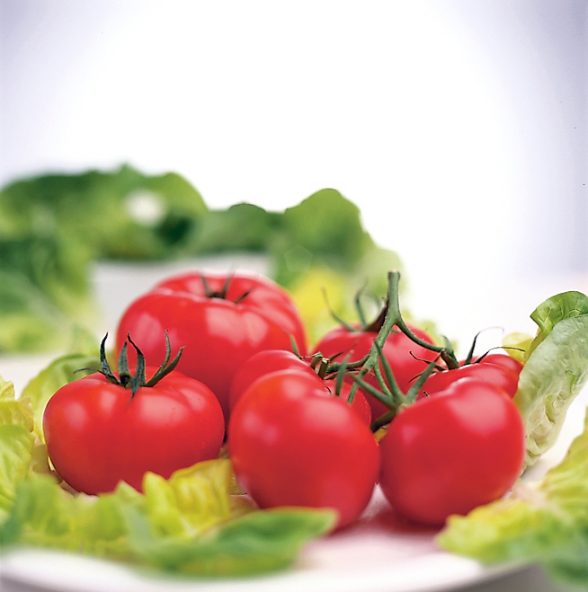 III Jornadas de Salud en Villaviciosa