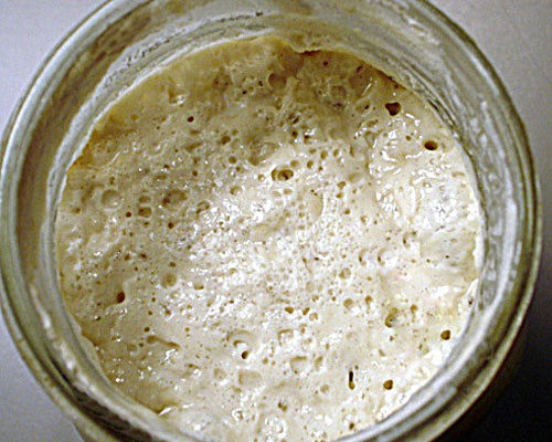 Recetas Ecológicas: Levadura madre siempre disponible