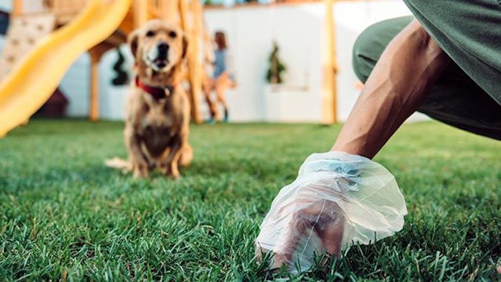 Las deposiciones de tu perro son TU problema ¡Límpialas!
