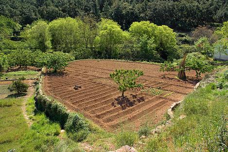 Latifundio ecológico en Altea