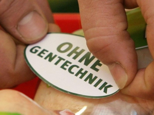 Se crea la "Asociación por los alimentos SIN transgénicos" en Berlín