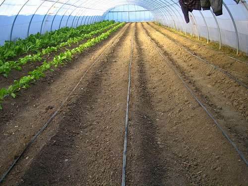 Tendencias: De la oficina a la huerta y otros cambios