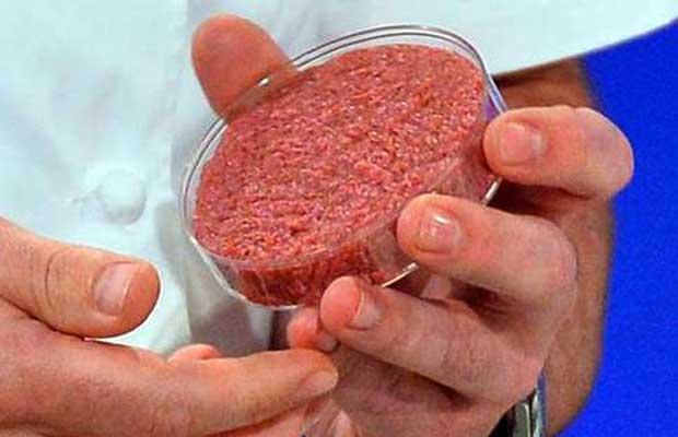 La carne in vitro: Una alternativa al sufrimiento de los animales