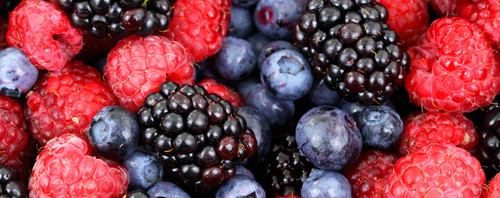 Vino de frutos rojos para tratar la diabetes