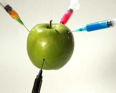 Los alimentos transgénicos